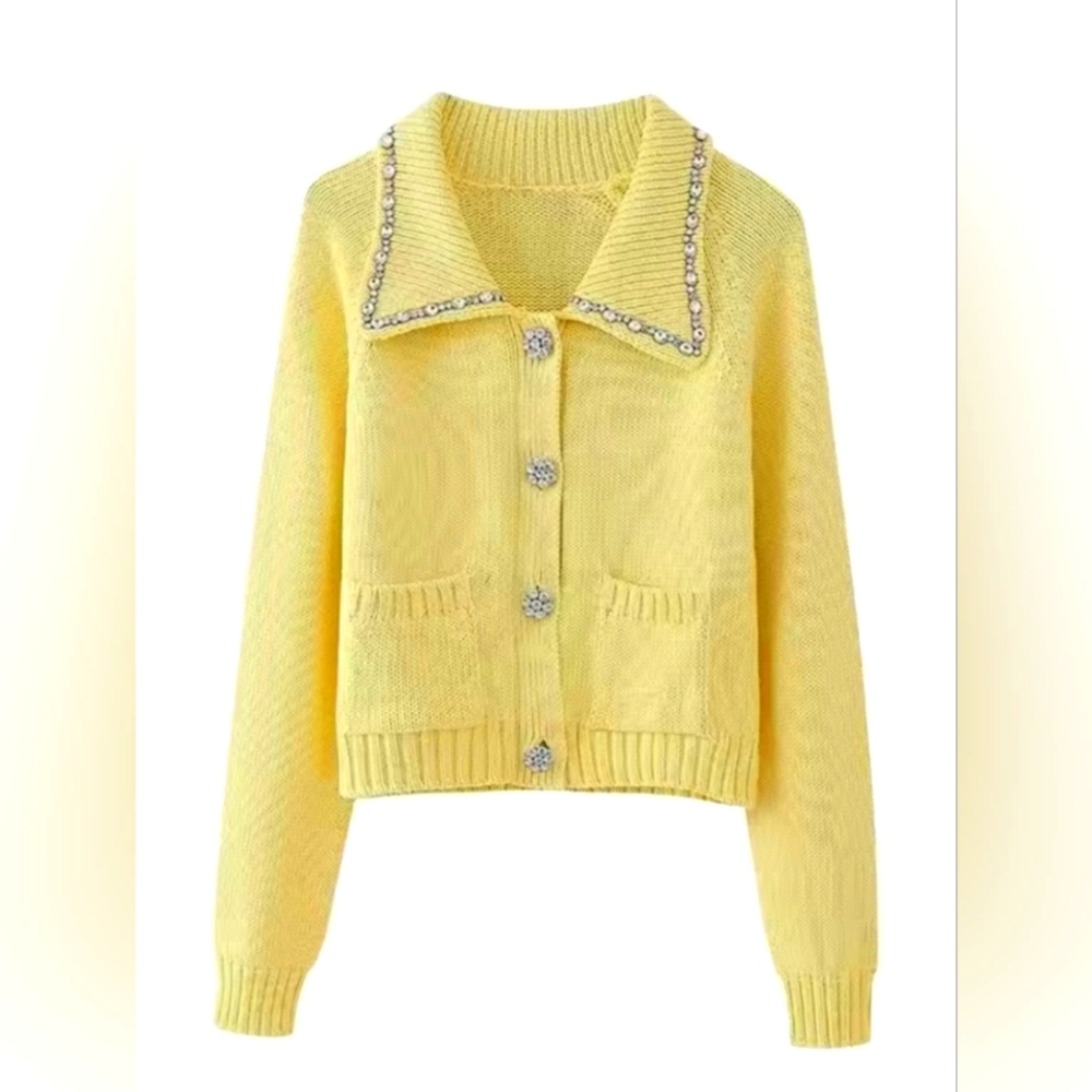 Embellished Sweater - Alice & Olivia Vibe